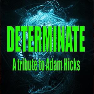 Determinate (Cover version)