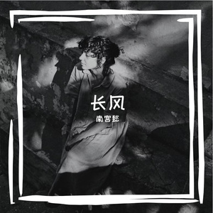 长风寻光