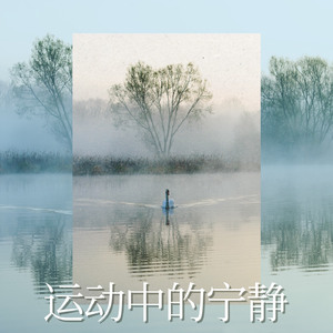 运动中的宁静