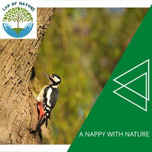 Serenity Pigeon Noise