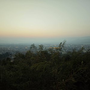 夏天到此为止，夏天周而复始