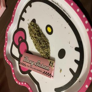 Tropical Cookies Freestyle