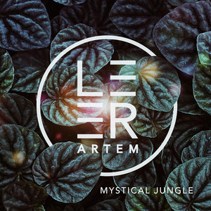 Mystical Jungle (Original Mix)