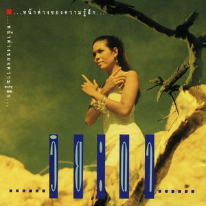 เกินแก้