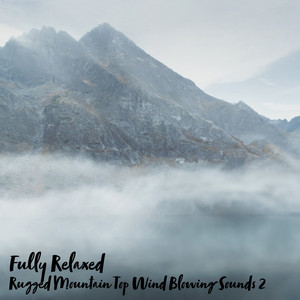 Rugged Mountain Top Wind Blowing Sounds, Pt. 13