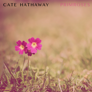 Primroses