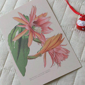 Rain Moistens Spring And Summer(雨潤春夏) 鋼琴版