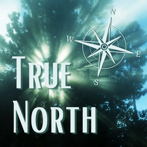 True North (Live)
