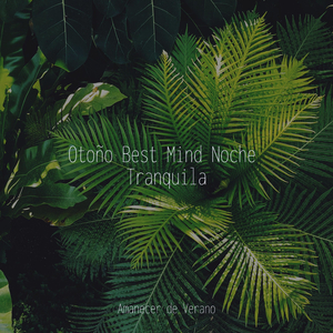 El Vals Melancólico del Anochecer