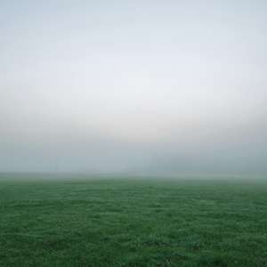 Echoes of the Horizon