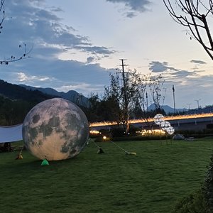 樱花树下的约定