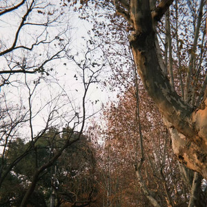 八小时时差 郑鱼