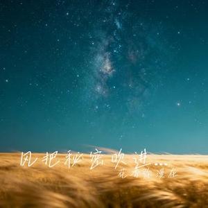 风把秘密吹进星河 (Cover 苏回声)