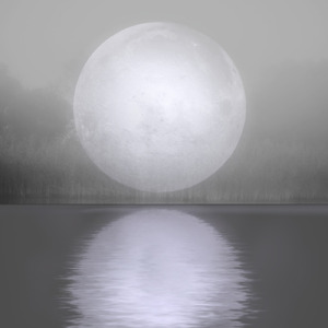 月影の水鏡