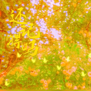 还记得吗（Prod by ATTBeat）