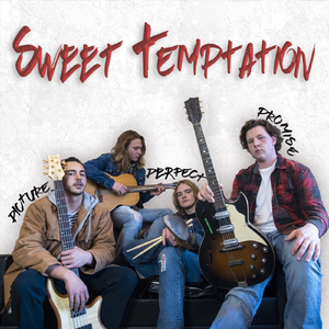 Picture Perfect Promise