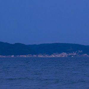 很需要【女声版】