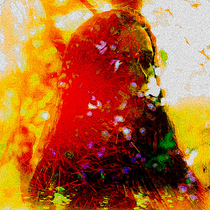 From The Shadows