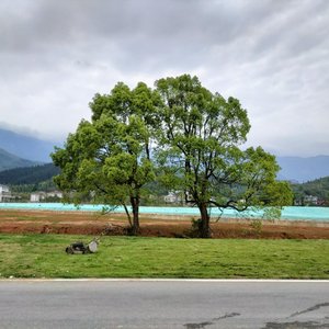 爱的来源是自己(甜妹音)