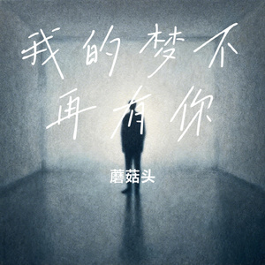 我的梦不再有你
