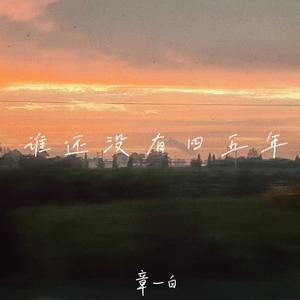 谁还没有四五年