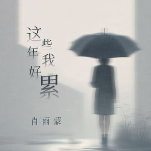 这些年我好累 (DJ豪大大版)