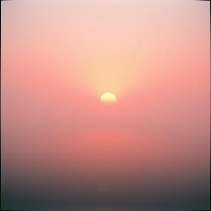 ในฝันแต่ละวัน