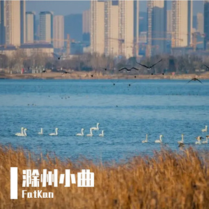 滁州小曲（Let Go remix）