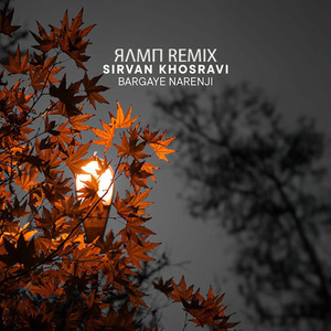 Bargaye Narenji (ЯΛMП Remix)