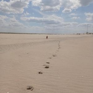 ℓαѕѕ ∂αѕ ωαѕ ∂υ ℓιєвѕт ∂ι¢н ℓєιтєη zυм ѕєιη