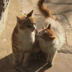 自(Prod By LilSiren&9Zi)