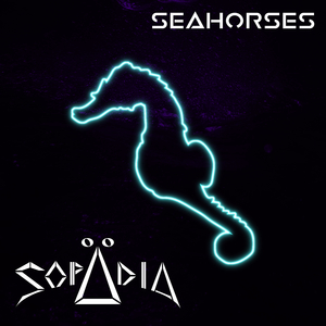 Seahorses