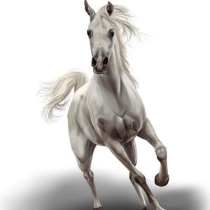Horseride