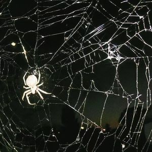 爱到底（Prod.4Harry）