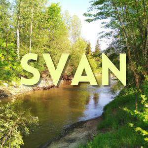 SVAN (feat. Nissim Black)
