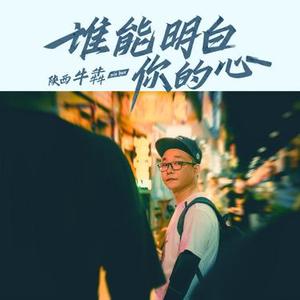 谁能明白你的心（DJ版）