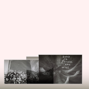 BLOOD IS THICKER THAN WINE