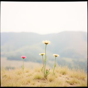 사계(칠공주)  by 폴