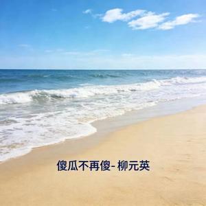 傻瓜不再傻 (DJ涵哈版)