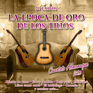 Cerezo Rosa