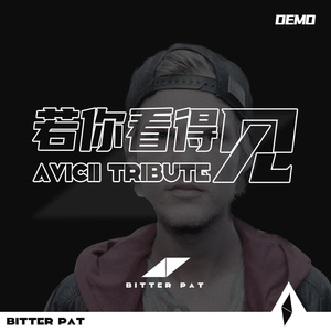 若你看得见 (Avicii Tribute Demo)
