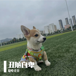 月光未凉   念相随