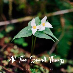 All The Small Things