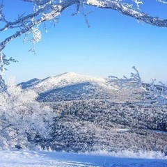 一个人也没关系 (DJ版)