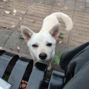 恋爱循环马冬梅哈哈哈