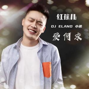 红孩儿 爱何求 (DJEland 小弟版)