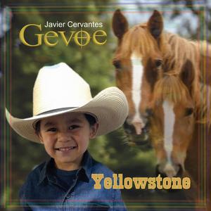 Yellowstone (Country)