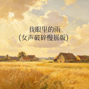 我眼里的雨(女声破碎慢摇版)