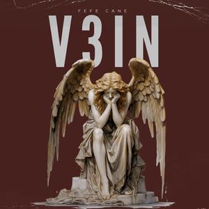V3IN