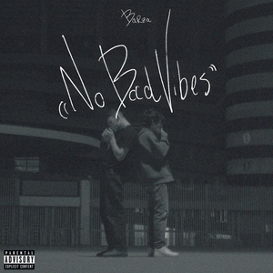 No Bad Vibes